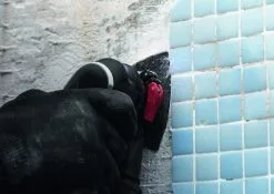 Bosch 2608900045 EXPERT Starlock Carbide Schuurplateau Multimaterial AVZ90RT2 26 Bosch 2608900045 EXPERT Starlock Carbide Schuurplateau Multimaterial AVZ90RT2 -Bosch Winkel b40904241b391ca8673195dcd46a7349